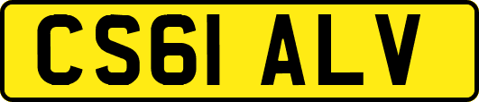 CS61ALV