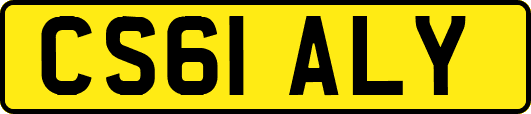 CS61ALY