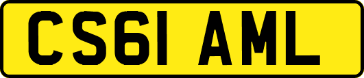 CS61AML
