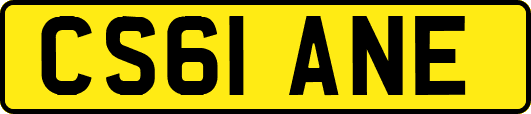 CS61ANE