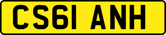CS61ANH