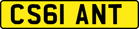 CS61ANT