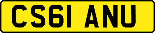 CS61ANU