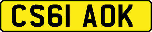 CS61AOK