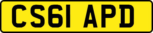 CS61APD
