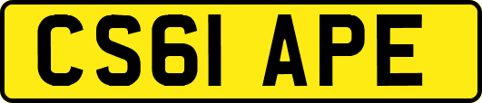 CS61APE