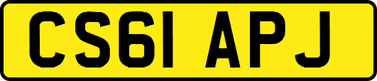 CS61APJ