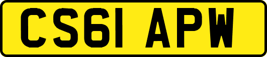 CS61APW