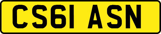 CS61ASN
