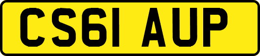 CS61AUP