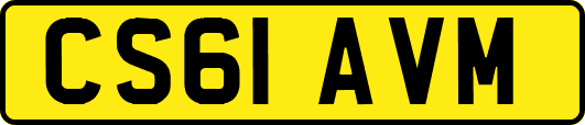 CS61AVM
