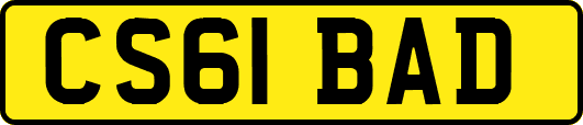 CS61BAD