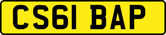 CS61BAP