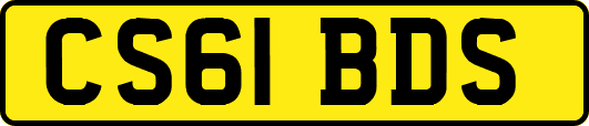 CS61BDS
