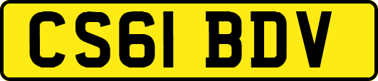 CS61BDV
