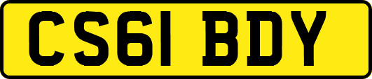 CS61BDY