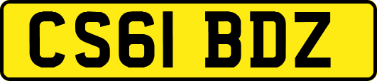 CS61BDZ