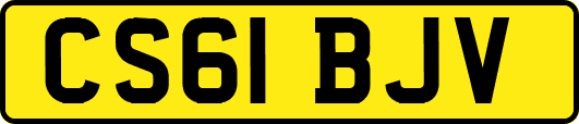 CS61BJV