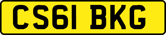 CS61BKG