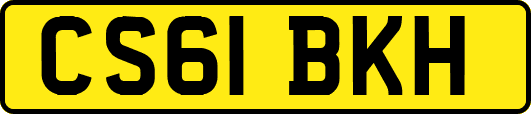 CS61BKH