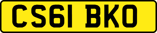 CS61BKO