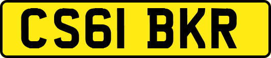 CS61BKR