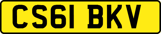 CS61BKV