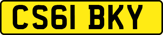 CS61BKY