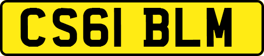 CS61BLM