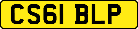 CS61BLP