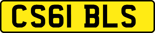 CS61BLS