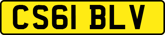 CS61BLV
