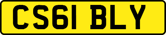 CS61BLY