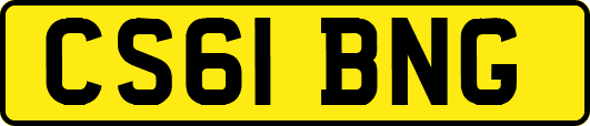 CS61BNG