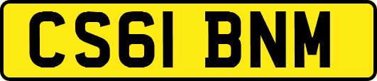 CS61BNM