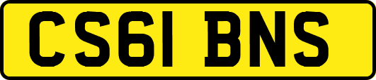 CS61BNS