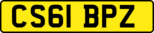 CS61BPZ