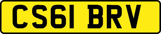CS61BRV