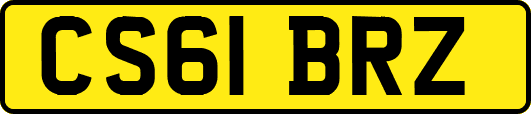 CS61BRZ