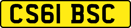 CS61BSC