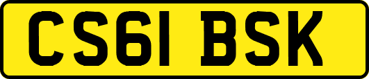 CS61BSK
