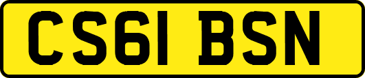 CS61BSN