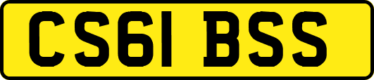 CS61BSS