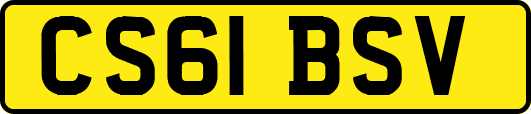 CS61BSV