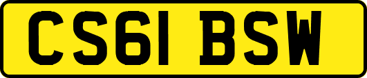 CS61BSW
