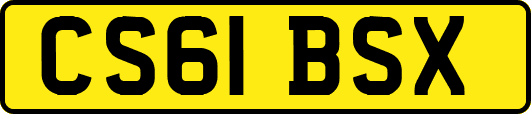 CS61BSX