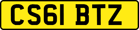 CS61BTZ