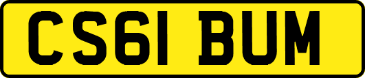 CS61BUM