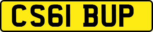 CS61BUP