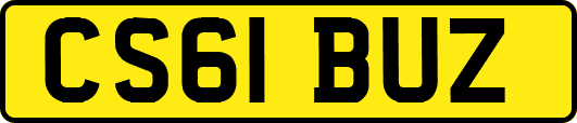 CS61BUZ